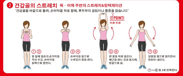 2.견갑골의 스트레치 목ㆍ어깨 주변의 스트레치&릴랙제이션