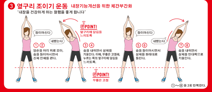 3.옆구리 조이기 운동 내장기능개선을 위한 체간부간화